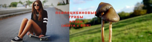 бошки Гусев