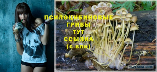 бошки Гусев
