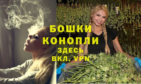 PSILOCYBIN Гусь-Хрустальный