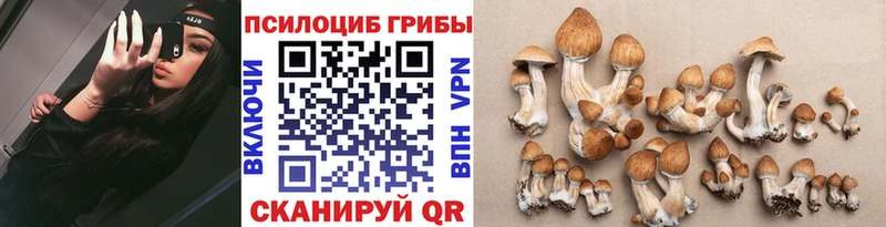 Галлюциногенные грибы MAGIC MUSHROOMS  купить  сайты  Обнинск 